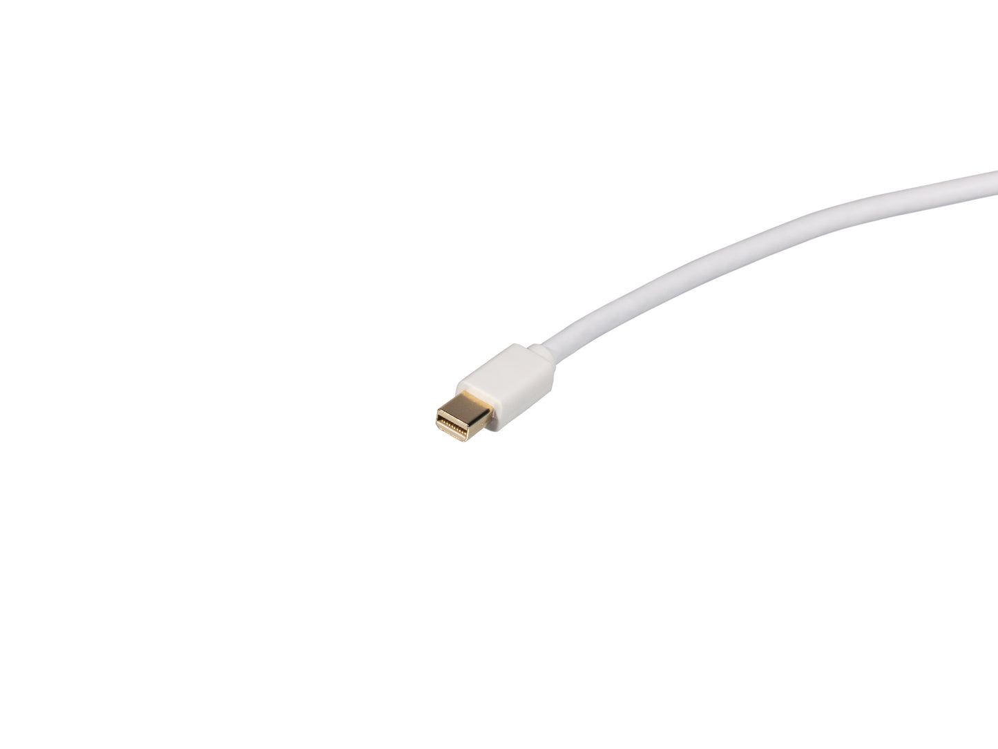 Mini DisplayPort to DVI Cable